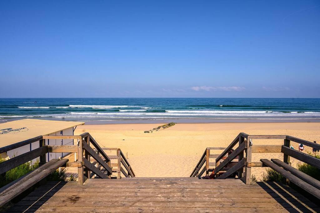Apartment La Luna 400m Ocean Et Foret Cosy Confort Mimizan